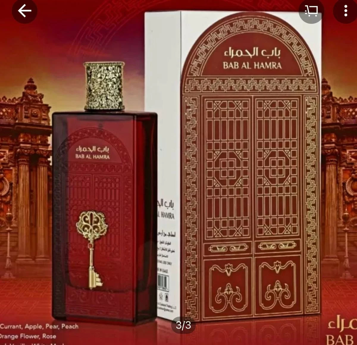 Ard Al Zaafaran Parfum Bab Al Hamra Eau de Parfum 100 ml 