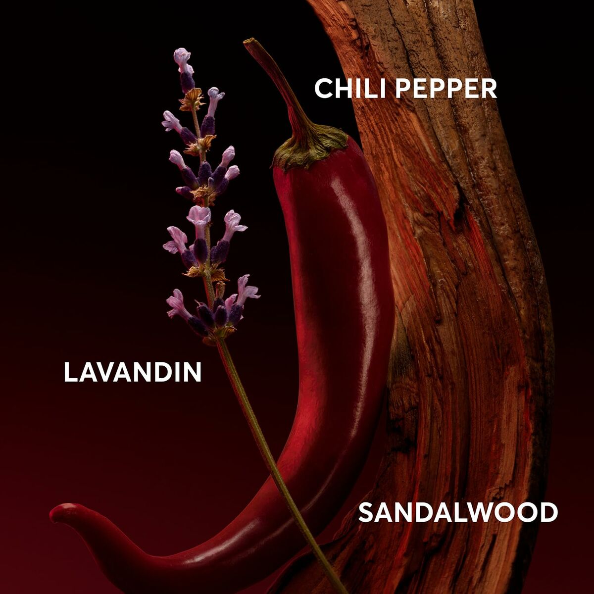 NU/BOSS THE SCENT FOR HIM ELIXIR EDP 50 ml-2